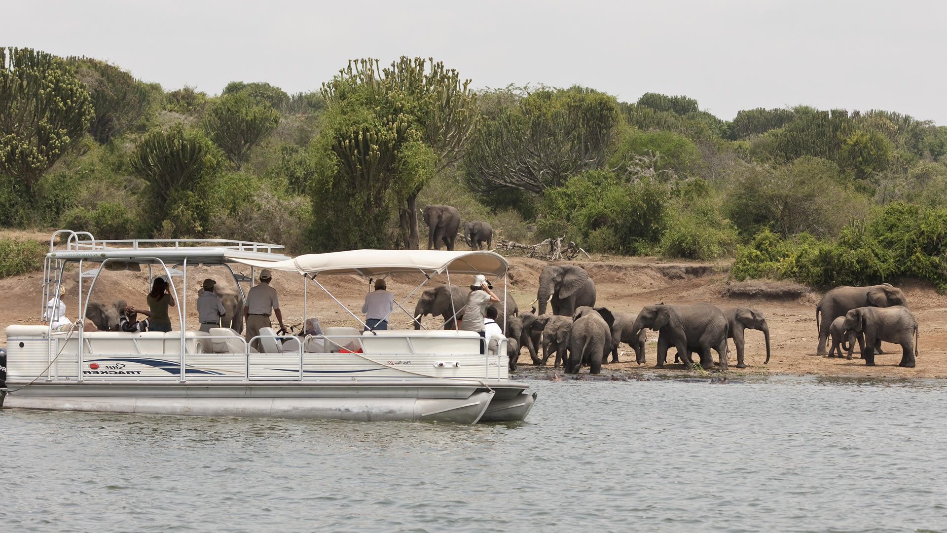  3 days Queen Elizabeth National park safari