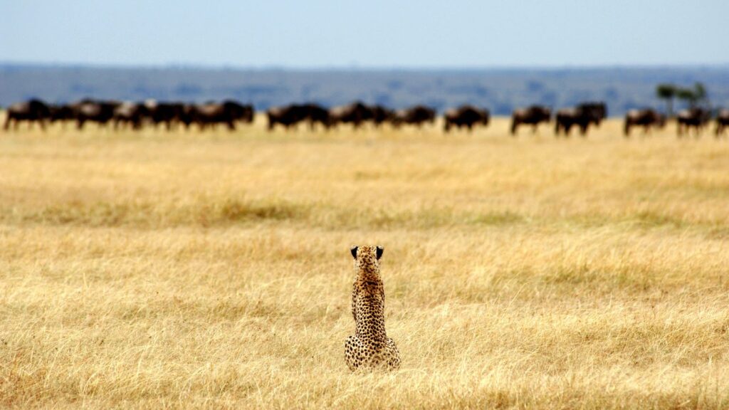 The best time to visit Tanzania